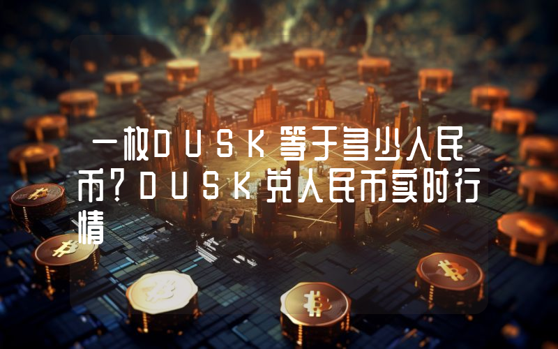 一枚DUSK等于多少人民币？DUSK兑人民币实时行情