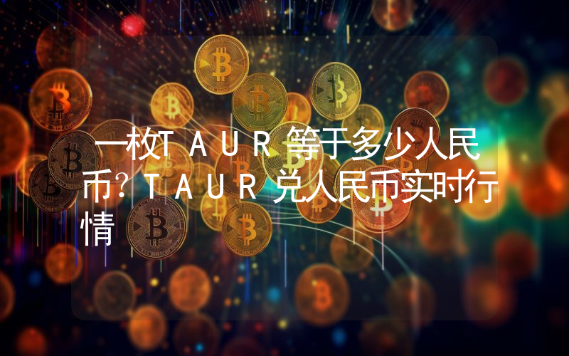 一枚TAUR等于多少人民币？TAUR兑人民币实时行情