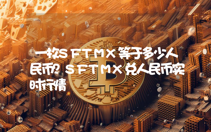 一枚SFTMX等于多少人民币？SFTMX兑人民币实时行情