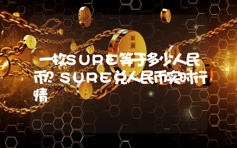 一枚SURE等于多少人民币？SURE兑人民币实时行情