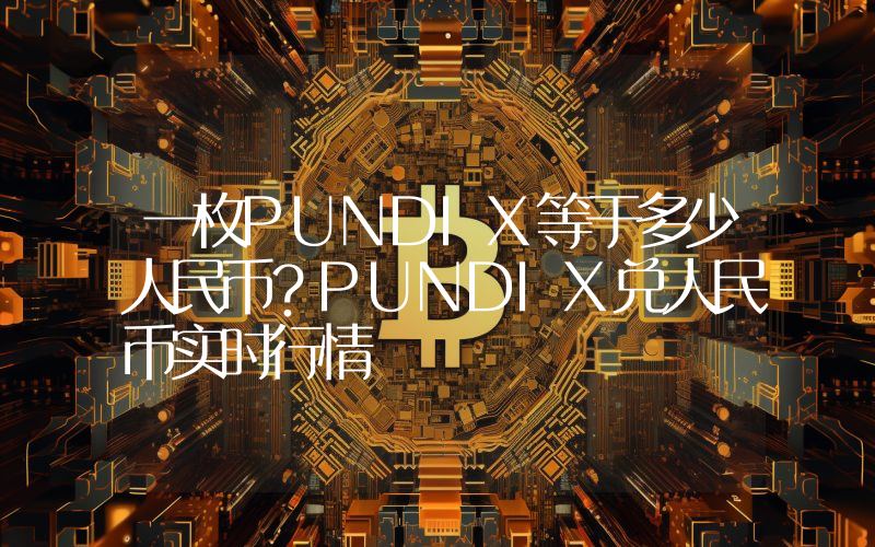 一枚PUNDIX等于多少人民币？PUNDIX兑人民币实时行情