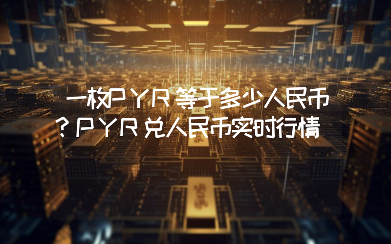 一枚PYR等于多少人民币？PYR兑人民币实时行情