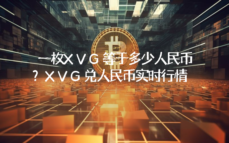 一枚XVG等于多少人民币？XVG兑人民币实时行情