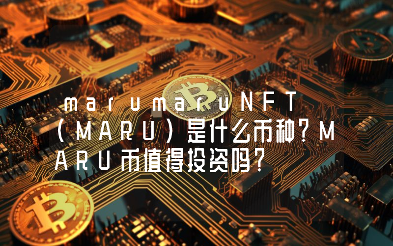 marumaruNFT (MARU)是什么币种？MARU币值得投资吗？