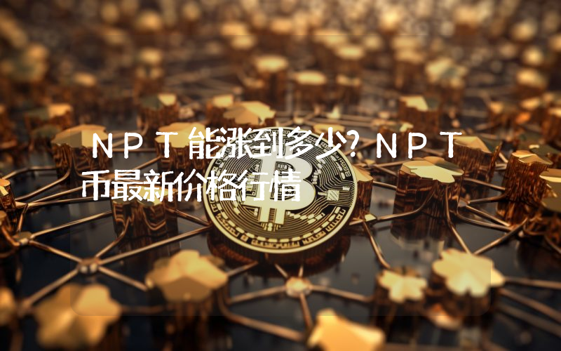 NPT能涨到多少？NPT币最新价格行情