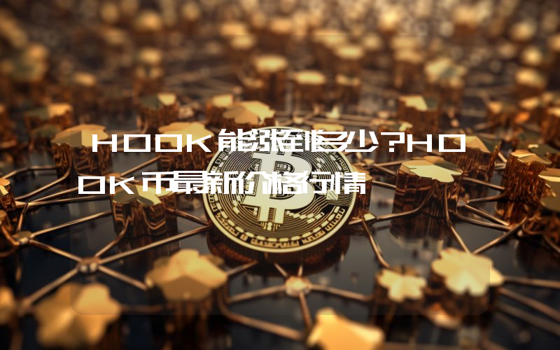 HOOK能涨到多少？HOOK币最新价格行情