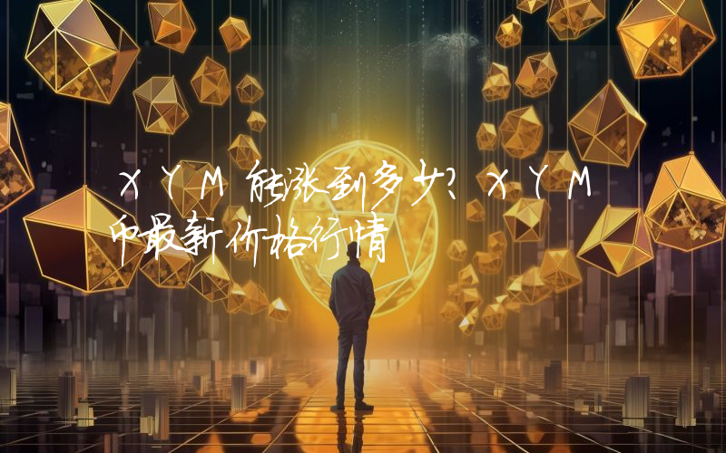 XYM能涨到多少？XYM币最新价格行情