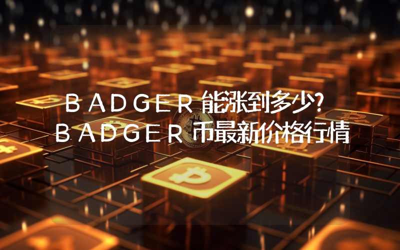 BADGER能涨到多少？BADGER币最新价格行情