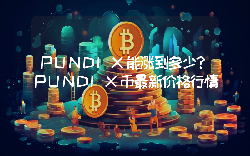 PUNDIX能涨到多少？PUNDIX币最新价格行情