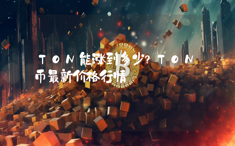 TON能涨到多少？TON币最新价格行情