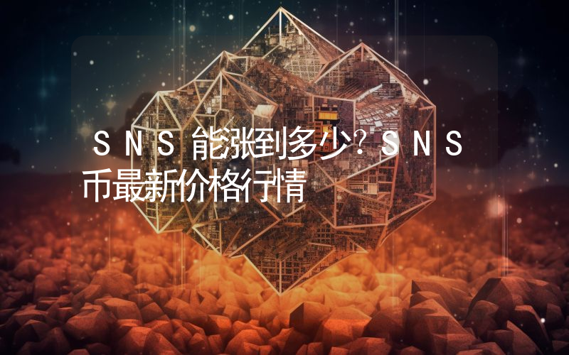 SNS能涨到多少？SNS币最新价格行情