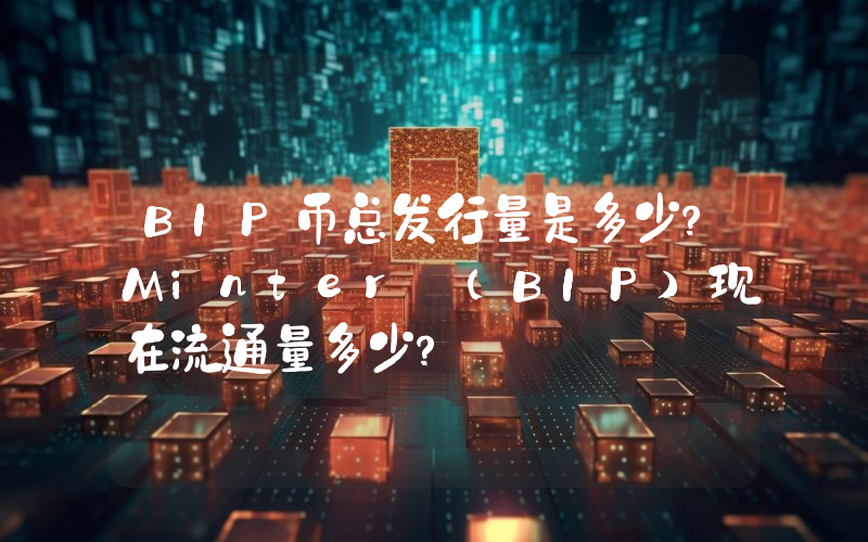BIP币总发行量是多少？Minter (BIP)现在流通量多少？