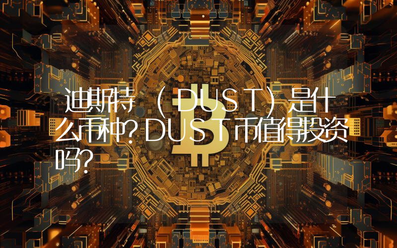 迪斯特 (DUST)是什么币种？DUST币值得投资吗？