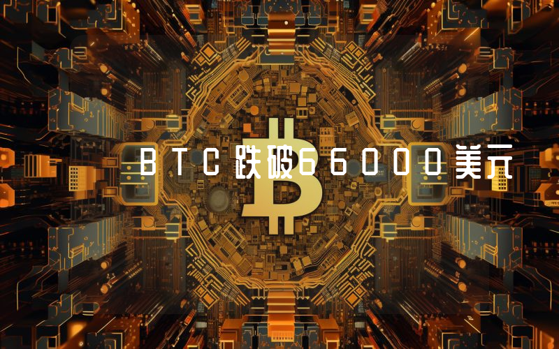 BTC跌破66000美元