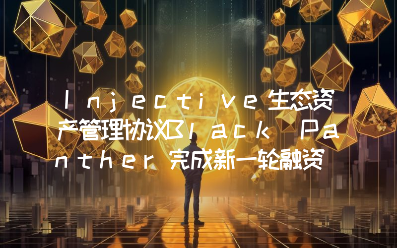 Injective生态资产管理协议Black Panther完成新一轮融资