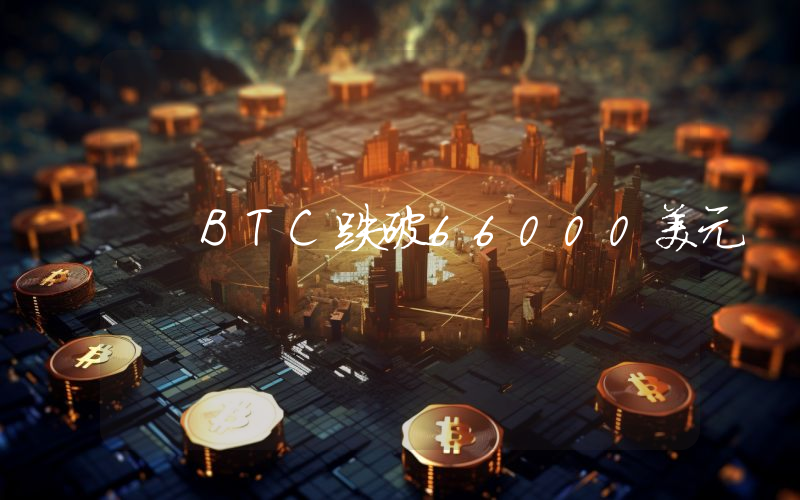 BTC跌破66000美元