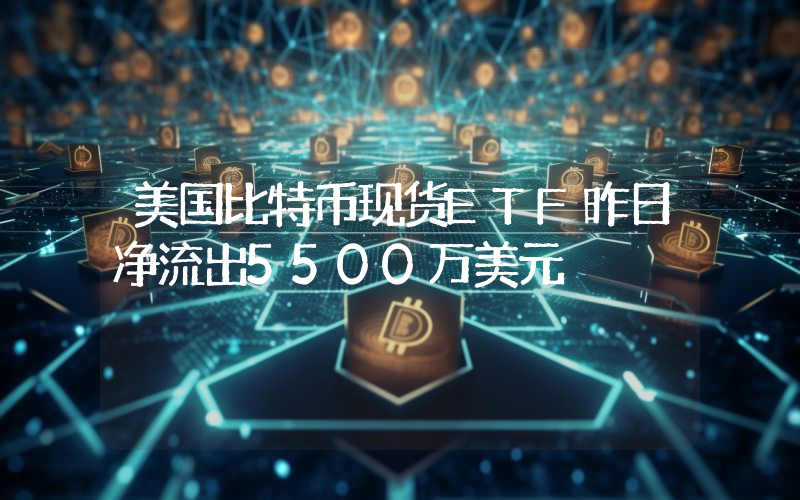 美国比特币现货ETF昨日净流出5500万美元