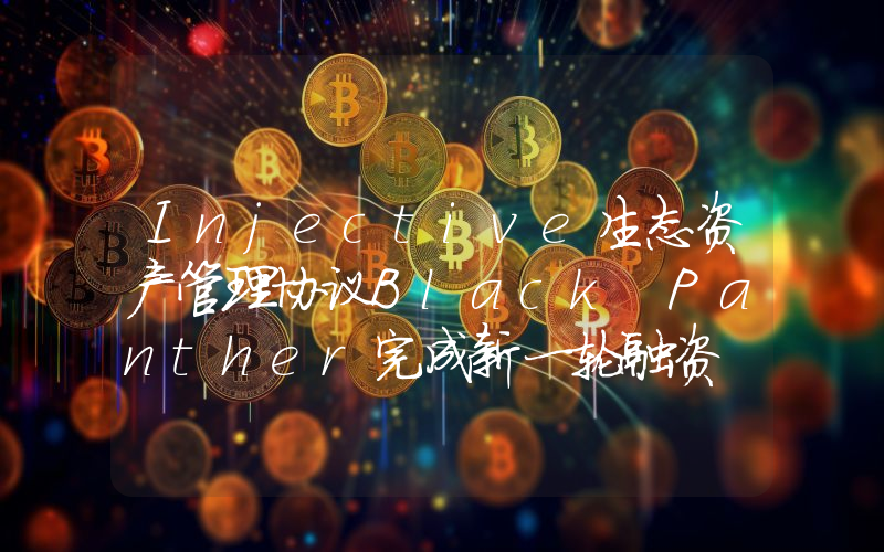 Injective生态资产管理协议Black Panther完成新一轮融资