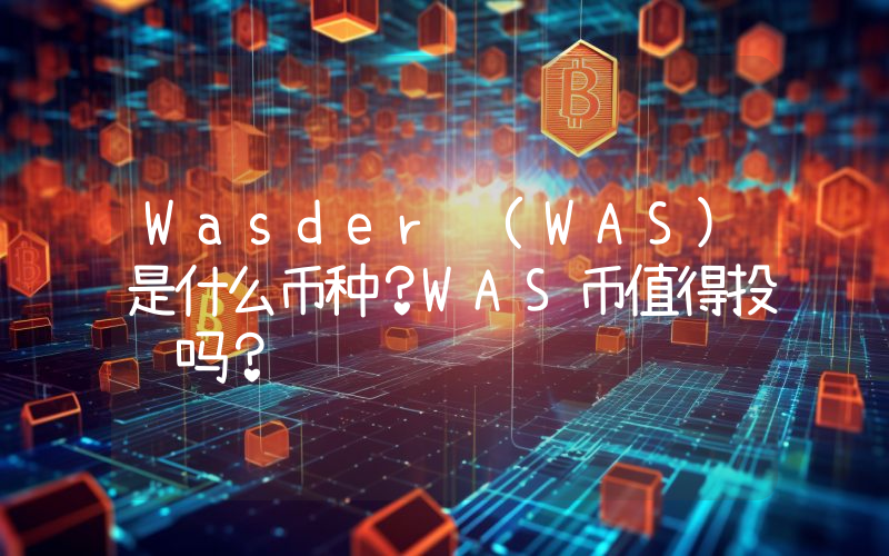 Wasder (WAS)是什么币种？WAS币值得投资吗？