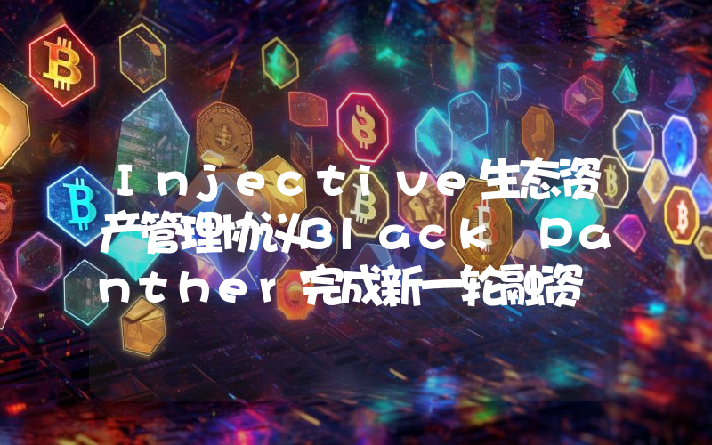 Injective生态资产管理协议Black Panther完成新一轮融资
