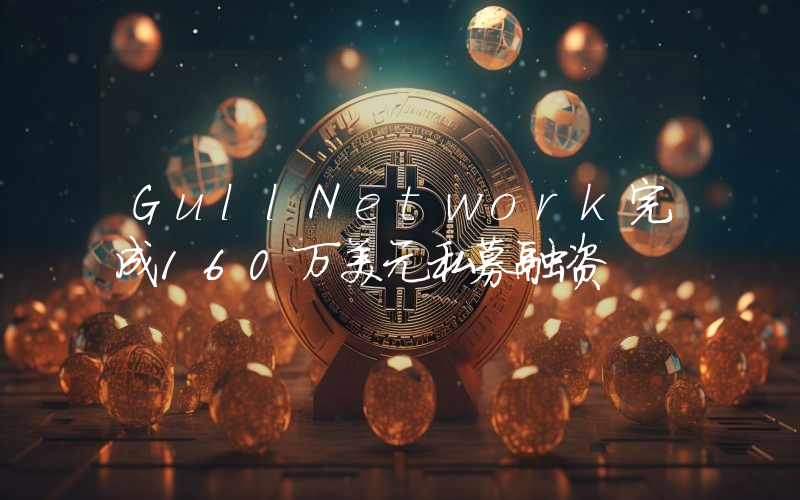 GullNetwork完成160万美元私募融资