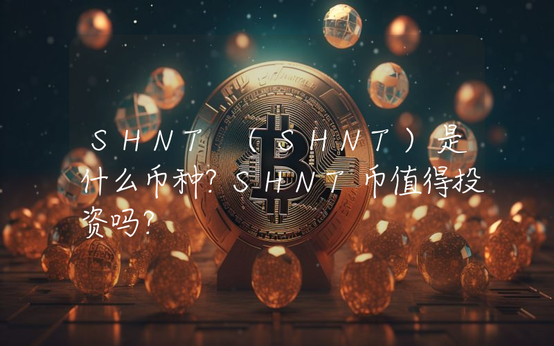 SHNT (SHNT)是什么币种？SHNT币值得投资吗？