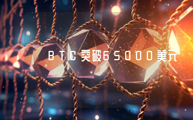 BTC突破65000美元