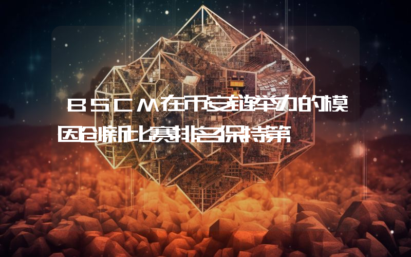 BSCM在币安链举办的模因创新比赛排名保持第一