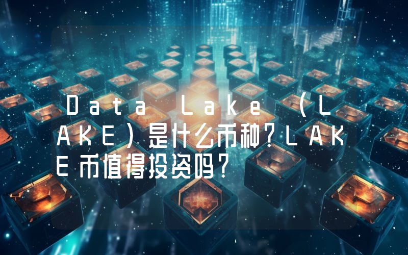 Data Lake (LAKE)是什么币种？LAKE币值得投资吗？
