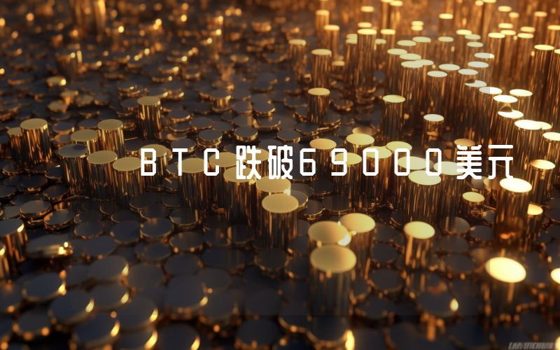 BTC跌破69000美元