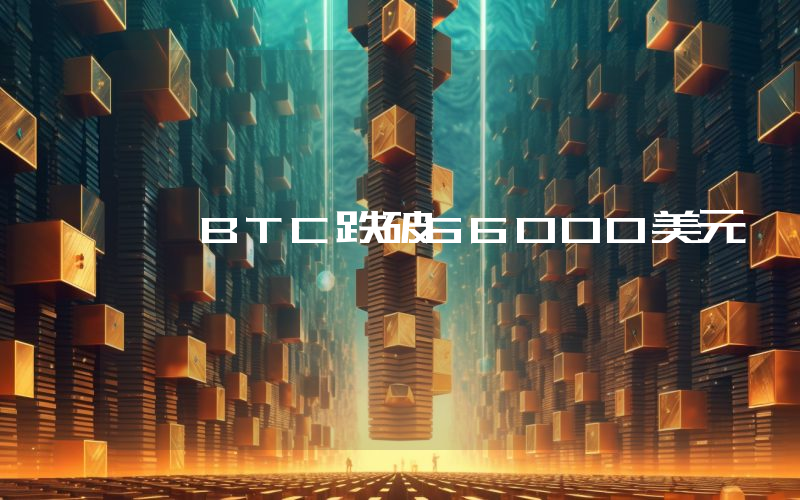 BTC跌破66000美元