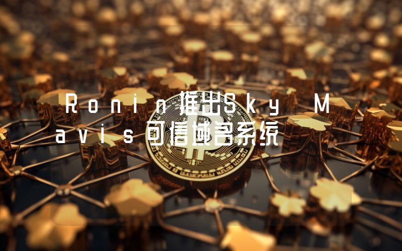 Ronin推出Sky Mavis可信域名系统