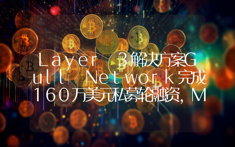 Layer 3解决方案Gull Network完成160万美元私募轮融资,Morningstar Ventures等领投