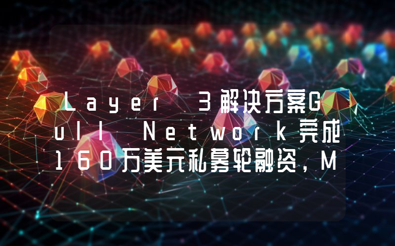 Layer 3解决方案Gull Network完成160万美元私募轮融资,Morningstar Ventures等领投