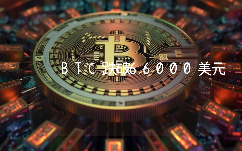 BTC跌破66000美元