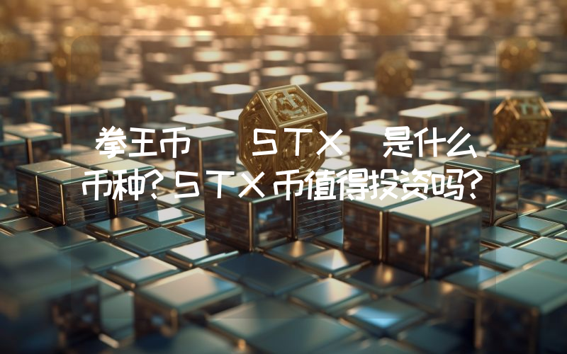 拳王币 (STX)是什么币种？STX币值得投资吗？