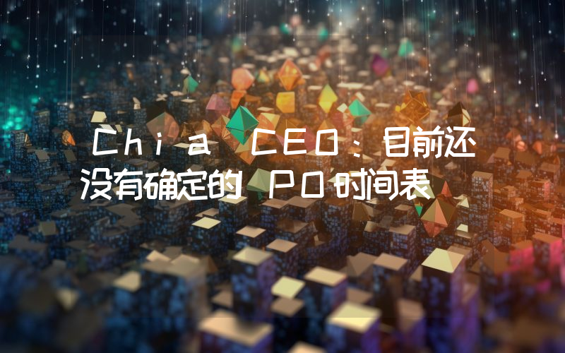 Chia CEO:目前还没有确定的IPO时间表