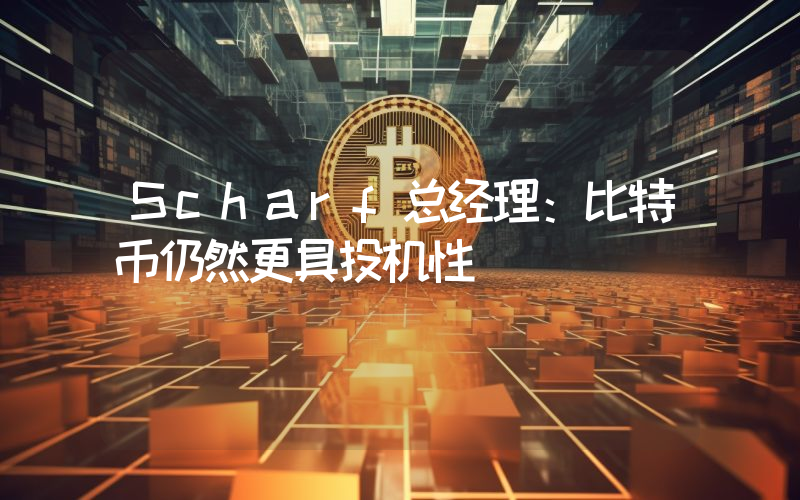 Scharf总经理:比特币仍然更具投机性
