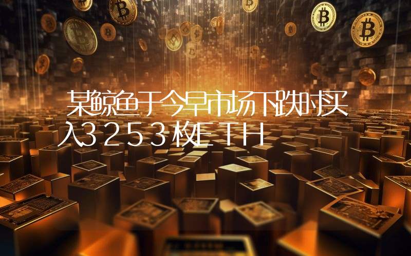 某鲸鱼于今早市场下跌时买入3253枚ETH