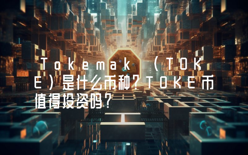 Tokemak (TOKE)是什么币种？TOKE币值得投资吗？