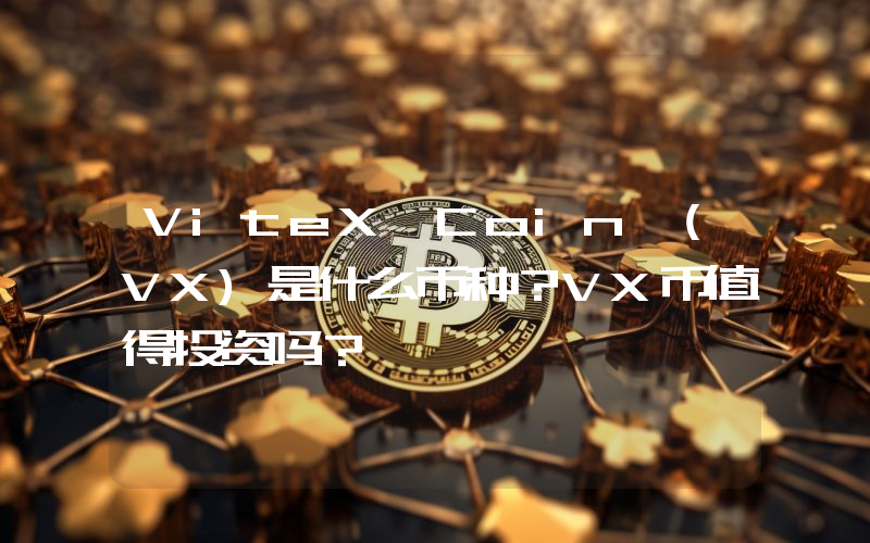 ViteX Coin (VX)是什么币种？VX币值得投资吗？