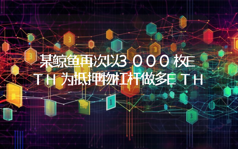 某鲸鱼再次以3000枚ETH为抵押物杠杆做多ETH