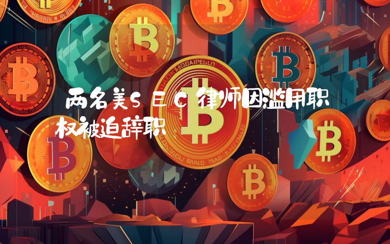 两名美SEC律师因滥用职权被迫辞职
