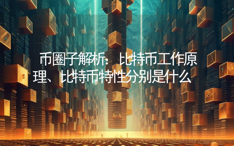 币圈子解析：比特币工作原理、比特币特性分别是什么