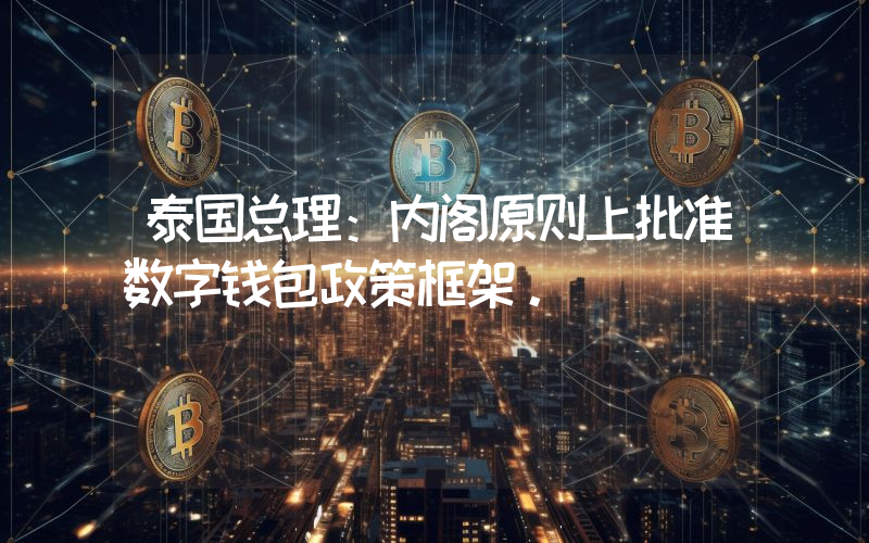 泰国总理:内阁原则上批准数字钱包政策框架。
