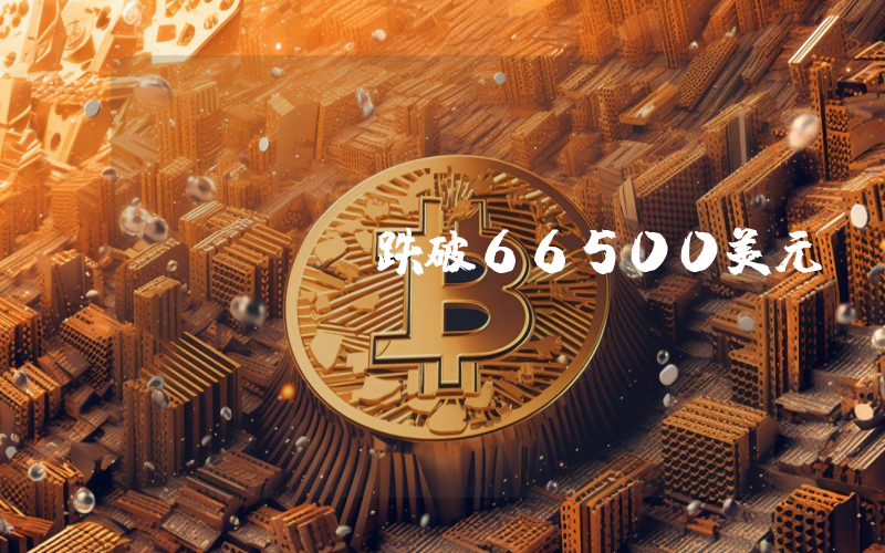 BTC跌破66500美元