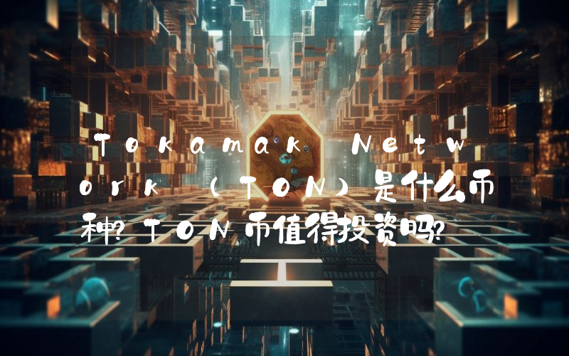 Tokamak Network (TON)是什么币种？TON币值得投资吗？
