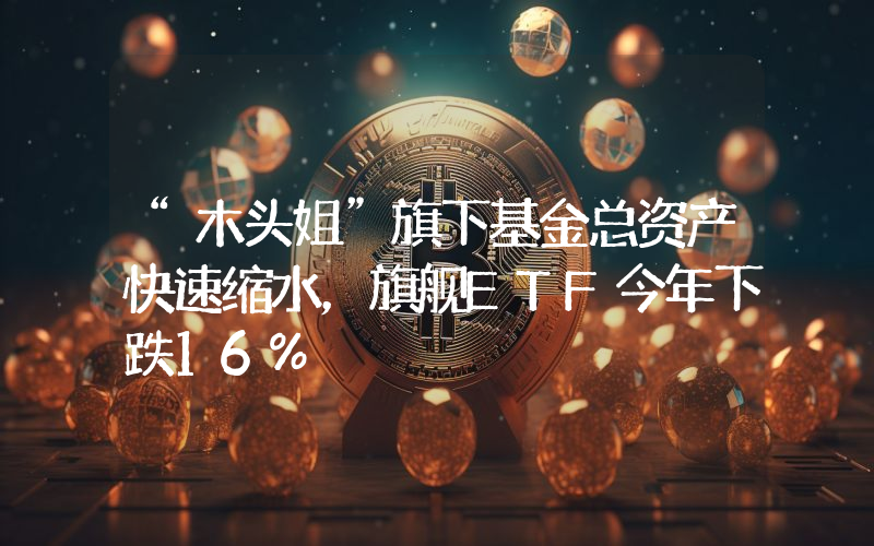 “木头姐”旗下基金总资产快速缩水,旗舰ETF今年下跌16%
