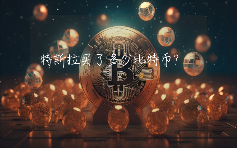 特斯拉买了多少比特币？