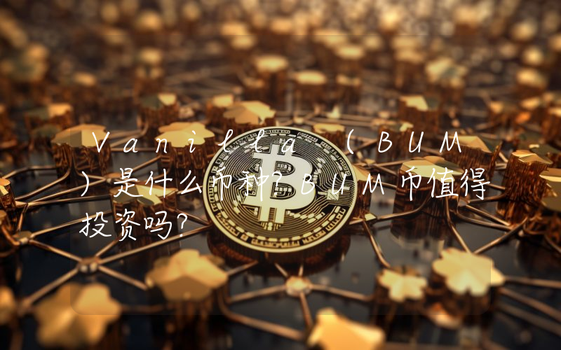 Vanilla (BUM)是什么币种？BUM币值得投资吗？